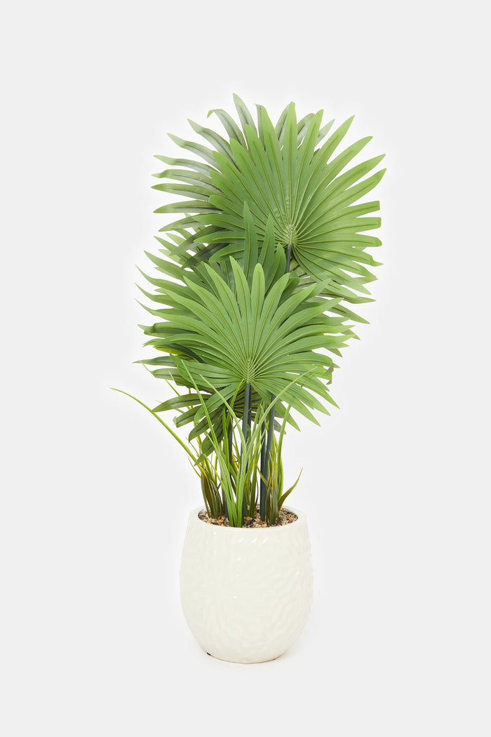 Redtag-Artificial-Plant-In-Ceramic-Pot-(86Cm)-Category:Plants-&-Flowers,-Colour:Green,-Deals:New-In,-Filter:Home-Decor,-H1:HMW,-H2:HOM,-H3:DEA,-H4:VSS,-HMW-HOM-Decorative-Accessories,-HMWHOMDEAVSS,-New-In-HMW-HOM,-Non-Sale,-ProductType:Artificial-Plants,-Promo:KYRA,-Season:W23A,-Section:Homewares,-Style:BIG-PLANTS,-W23A-Home-Decor-