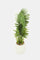 Redtag-Artificial-Plant-In-Ceramic-Pot-(86Cm)-Category:Plants-&-Flowers,-Colour:Green,-Deals:New-In,-Filter:Home-Decor,-H1:HMW,-H2:HOM,-H3:DEA,-H4:VSS,-HMW-HOM-Decorative-Accessories,-HMWHOMDEAVSS,-New-In-HMW-HOM,-Non-Sale,-ProductType:Artificial-Plants,-Promo:KYRA,-Season:W23A,-Section:Homewares,-Style:BIG-PLANTS,-W23A-Home-Decor-