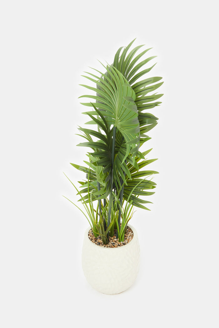 Redtag-Artificial-Plant-In-Ceramic-Pot-(86Cm)-Category:Plants-&-Flowers,-Colour:Green,-Deals:New-In,-Filter:Home-Decor,-H1:HMW,-H2:HOM,-H3:DEA,-H4:VSS,-HMW-HOM-Decorative-Accessories,-HMWHOMDEAVSS,-New-In-HMW-HOM,-Non-Sale,-ProductType:Artificial-Plants,-Promo:KYRA,-Season:W23A,-Section:Homewares,-Style:BIG-PLANTS,-W23A-Home-Decor-