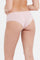 Redtag-Basic-5-Pack-365-Boyleg-Brief-365,-Category:Briefs,-Colour:Assorted,-Deals:New-In,-Filter:Women's-Clothing,-H1:LWR,-H2:LDL,-H3:LIN,-H4:BRE,-LWRLDLLINBRE,-New-In-Women,-Non-Sale,-ProductType:Briefs-Boyleg,-Season:365365,-Section:Women,-Women-Briefs--