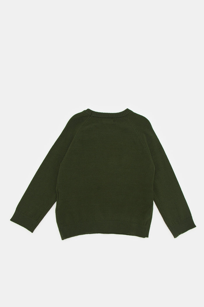 Redtag-Khaki-Green-Lion-Crew-Pullover-Category:Pullovers,-Colour:Green,-Deals:New-In,-Filter:Infant-Boys-(3-to-24-Mths),-H1:KWR,-H2:INB,-H3:KNW,-H4:PUL,-INB-Pullovers,-KWRINBKNWPUL,-New-In-INB,-Non-Sale,-ProductType:Pullovers,-Season:W23A,-Section:Boys-(0-to-14Yrs),-W23A-Infant-Boys-3 to 24 Months