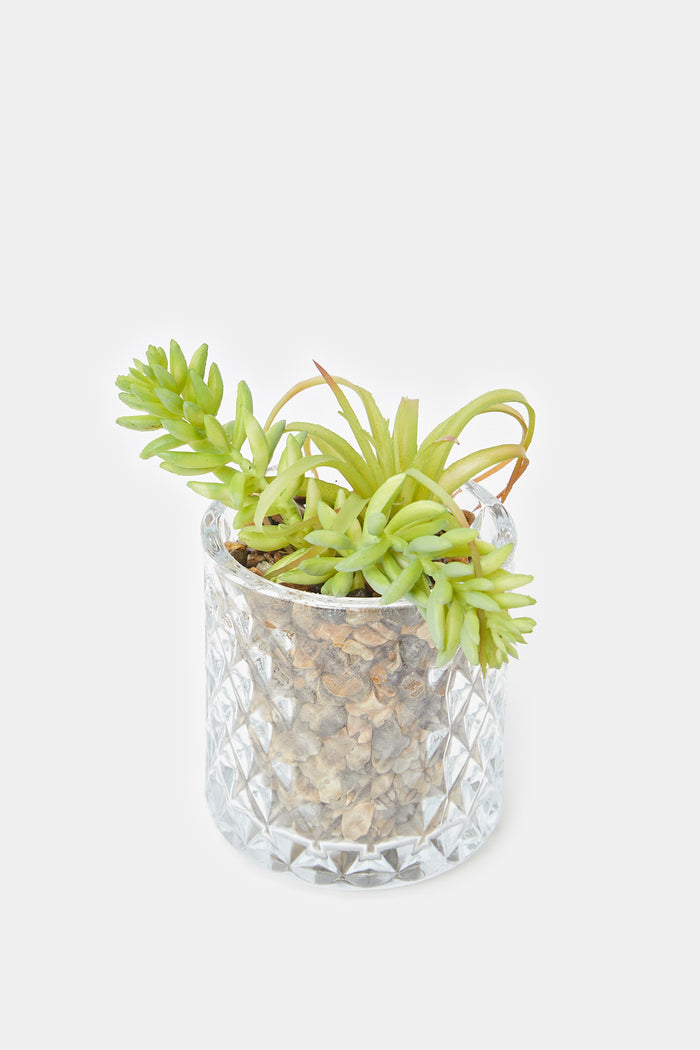 Redtag-Artificial-Suculent-Plant-In-Glass-Pot-Category:Plants-&-Flowers,-Colour:Green,-Deals:New-In,-Filter:Home-Decor,-H1:HMW,-H2:HOM,-H3:DEA,-H4:DCA,-HMW-HOM-Decorative-Accessories,-HMWHOMDEADCA,-New-In-HMW-HOM,-Niomi,-Non-Sale,-ProductType:Bathmat-Sets,-Season:W23B,-Section:Homewares,-W23B-Home-Decor-