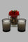 Redtag-Alpine-Silver-Votive-set-with-Artificial-Planter-Pot-Gift-Set-Diffuser-Home-Decor-