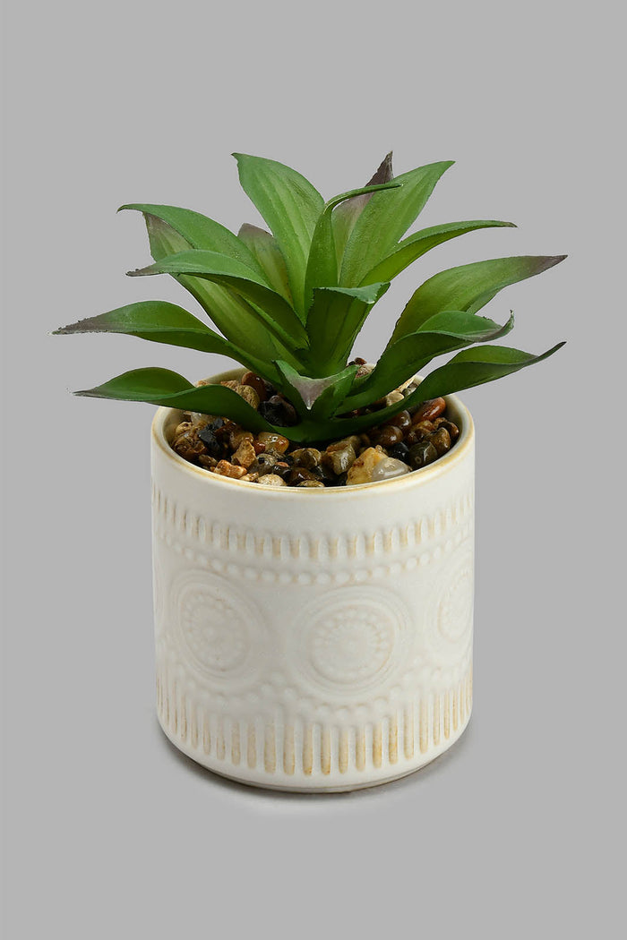 Redtag-White-Ceramic-Pot-With-Artificial-Plant-Colour:White,-Filter:Home-Decor,-HMW-HOM-Plants-&-Flowers,-New-In,-New-In-HMW-HOM,-Non-Sale,-S22A,-Section:Homewares-Home-Decor-