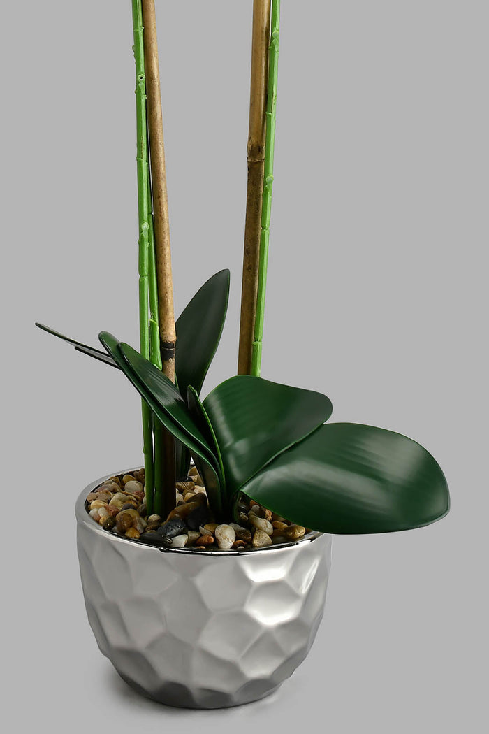 Redtag-Silver-Ceramic-Pot-With-Artificial-Orchid-Colour:Silver,-Filter:Home-Decor,-HMW-HOM-Plants-&-Flowers,-New-In,-New-In-HMW-HOM,-Non-Sale,-S22A,-Section:Homewares-Home-Decor-