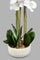 Redtag-White-Ceramic-Pot-With-Artificial-Orchid-Colour:White,-Filter:Home-Decor,-HMW-HOM-Plants-&-Flowers,-New-In,-New-In-HMW-HOM,-Non-Sale,-S22A,-Section:Homewares-Home-Decor-