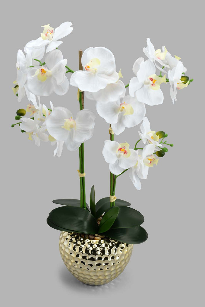 Redtag-Gold-Artificial-Orchids-In-Ceramic-Vase-Artificial-Plants-Home-Decor-