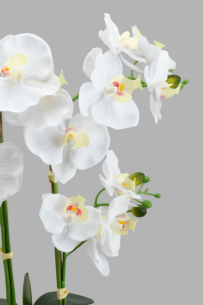 Redtag-Gold-Artificial-Orchids-In-Ceramic-Vase-Artificial-Plants-Home-Decor-
