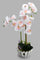 Redtag-White-Artificial-Orchids-In-Ceramic-Vase-Artificial-Plants-Home-Decor-