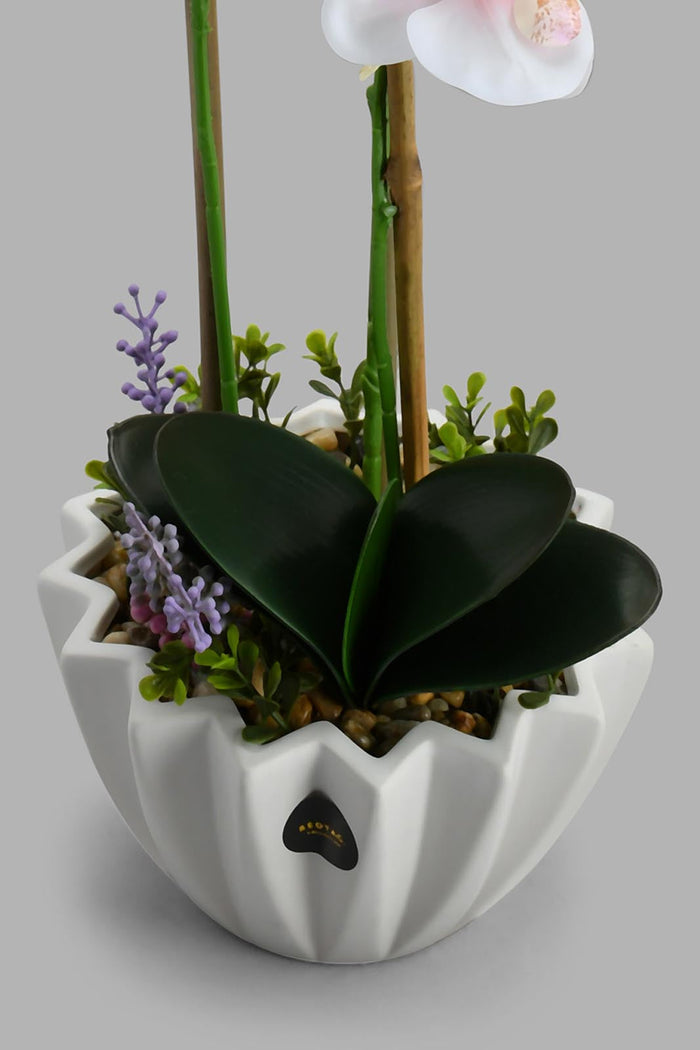Redtag-White-Artificial-Orchids-In-Ceramic-Vase-Artificial-Plants-Home-Decor-