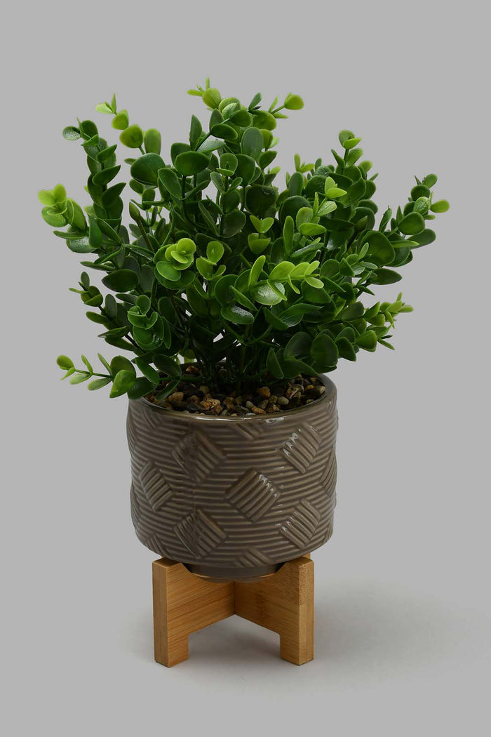 Redtag-Brown-Artificial-Plant-in-Ceramic-Pot-with-Stand-Artificial-Plants-Home-Decor-