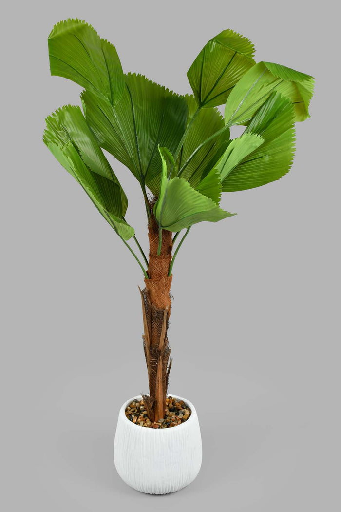 Redtag-Artificial-Bigplant-In-White--Pot-Artificial-Plants-Home-Decor-