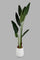 Redtag-Green-Artificial-Banana-Plant-In-Ribbed-Tall-Pot-160Cm-Category:Plants-&-Flowers,-Colour:Green,-Deals:New-In,-Filter:Home-Decor,-Harmony,-HMW-HOM-Decorative-Accessories,-New-In-HMW-HOM,-Non-Sale,-Section:Homewares,-W22O-Home-Decor-