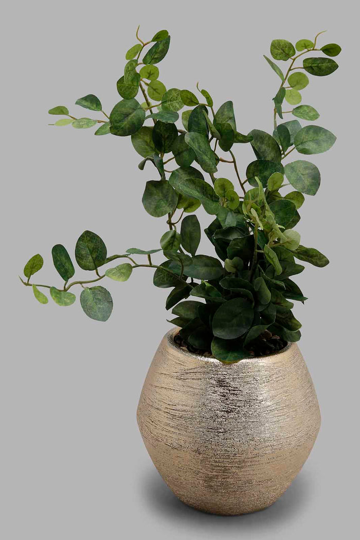 Redtag-Artificial-Plant-In-Gold-Ceramic-Pot-Brooklyn,-Category:Plants-&-Flowers,-Colour:Gold,-Deals:New-In,-Filter:Home-Decor,-HMW-HOM-Decorative-Accessories,-New-In-HMW-HOM,-Non-Sale,-Section:Homewares,-W22B-Home-Decor-