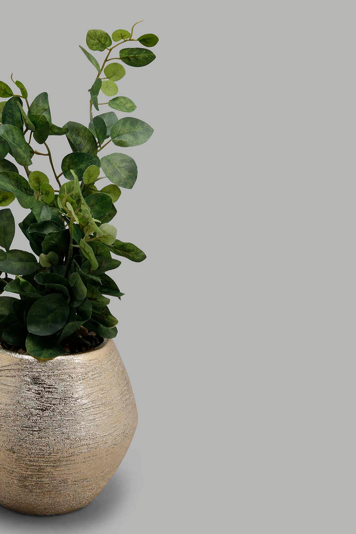 Redtag-Artificial-Plant-In-Gold-Ceramic-Pot-Brooklyn,-Category:Plants-&-Flowers,-Colour:Gold,-Deals:New-In,-Filter:Home-Decor,-HMW-HOM-Decorative-Accessories,-New-In-HMW-HOM,-Non-Sale,-Section:Homewares,-W22B-Home-Decor-