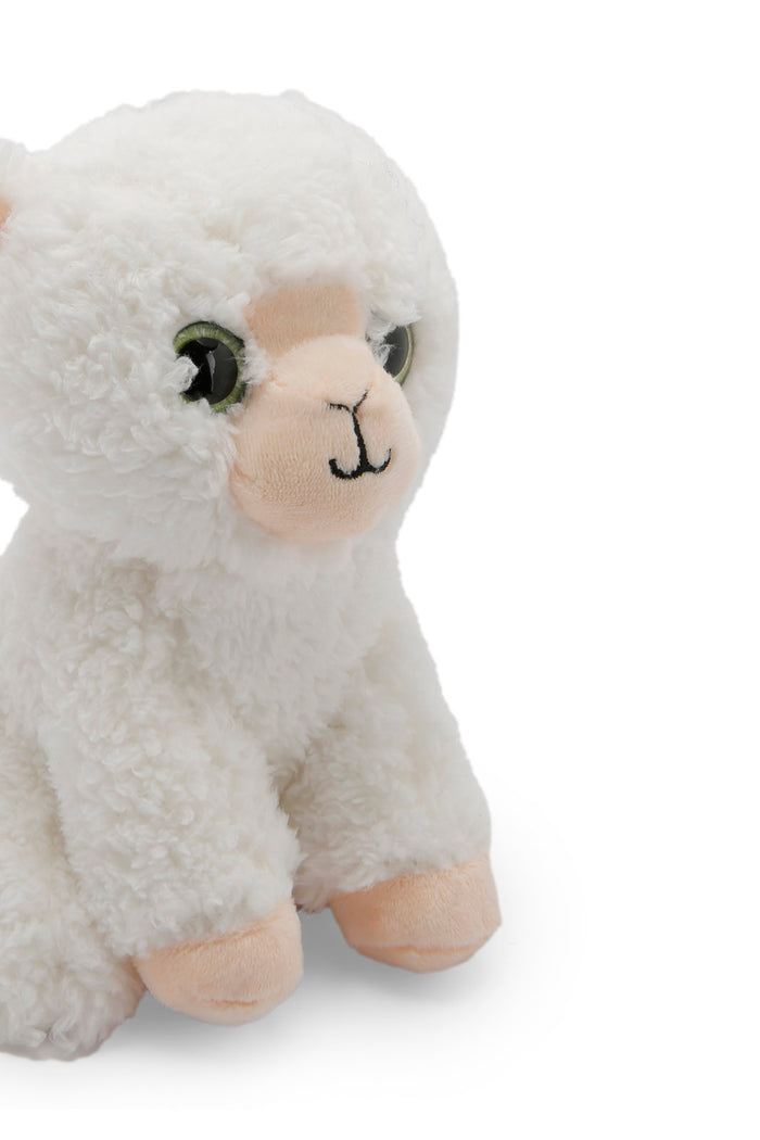 Redtag-White-Lamb-365,-Category:Toys,-Colour:White,-Dept:New-Born,-Filter:Newborn-Accessories,-NBN-Toys,-New-In,-New-In-NBN-ACC,-Non-Sale,-Section:Boys-(0-to-14Yrs)-New-Born-Baby-