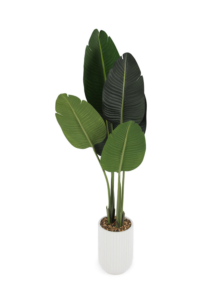 Redtag-Green-Artificial-Banana-Plant-With-Ceramic-White-Pot-120Cm-Category:Plants-&-Flowers,-Colour:Green,-Deals:New-In,-Dept:Home,-Filter:Home-Decor,-HMW-HOM-Decorative-Accessories,-New-In-HMW-HOM,-Non-Sale,-Section:Homewares,-W22B-Home-Decor-