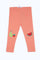 Redtag-Girls-Coral-Fruit-Print-Legging-Category:Leggings,-Colour:Orange,-Deals:New-In,-Filter:Infant-Girls-(3-to-24-Mths),-H1:KWR,-H2:ING,-H3:TRS,-H4:LEG,-ING-Leggings,-New-In-ING-APL,-Non-Sale,-S23C,-Season:S23C,-Section:Girls-(0-to-14Yrs)-Infant-Girls-3 to 24 Months